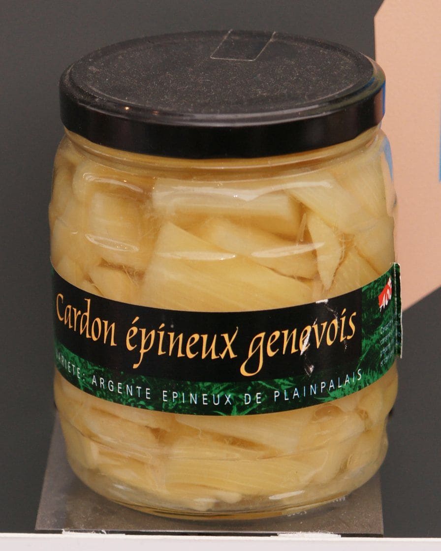 Gratin de cardons genevois à la sauce blanche et au fromage gratiné, plat d'hiver traditionnel du canton de Genève