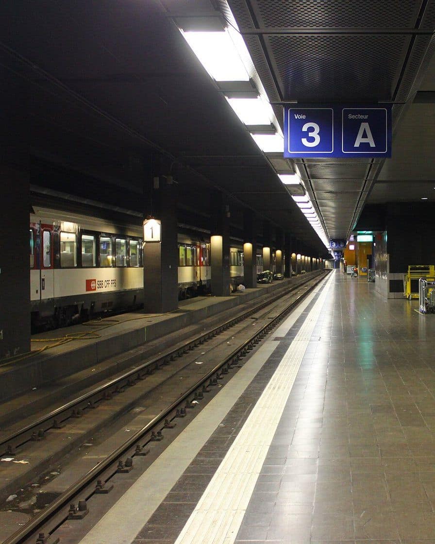 La gare ferroviaire de Genève-Aéroport, intégrée au terminal, avec un train à quai et des voyageurs avec leurs valises