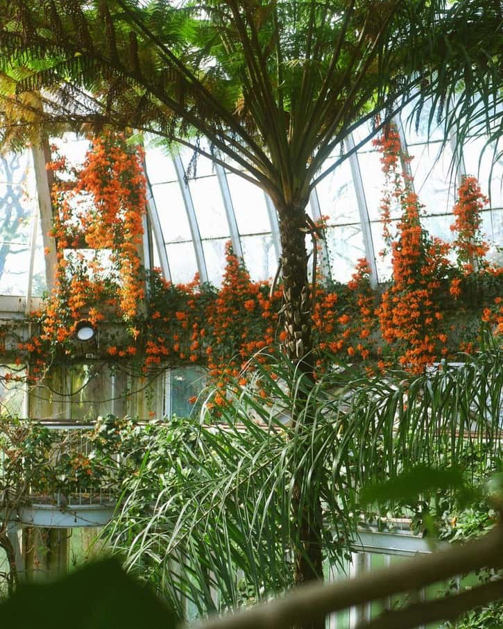 Les serres et les allées du Conservatoire et Jardin botaniques de Genève, près du lac, au printemps