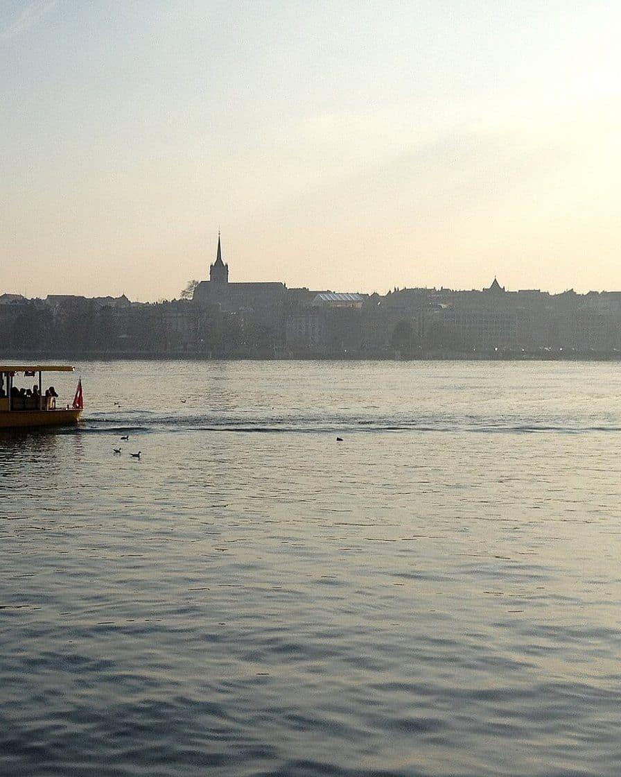 Une Mouette genevoise, petit bateau jaune de transport public, traversant la rade de Genève avec le Jet d'eau au loin