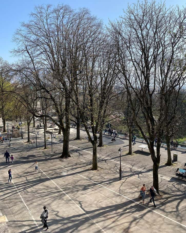 La promenade de la Treille à Genève, avec son long banc en bois sous les marronniers, en surplomb du parc des Bastions