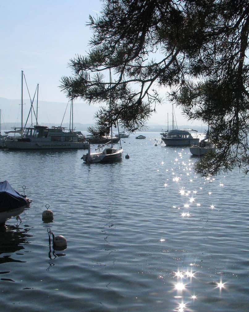 Rive du lac Léman à Versoix, au nord de Genève, avec un accès à l'eau et des bateaux au mouillage